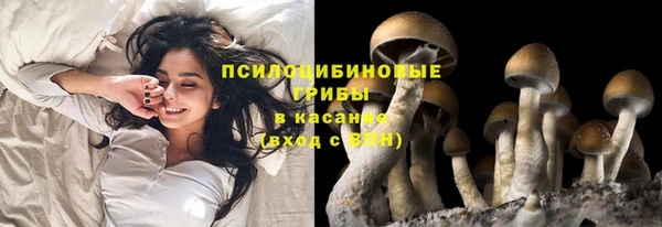 ECSTASY Семёнов